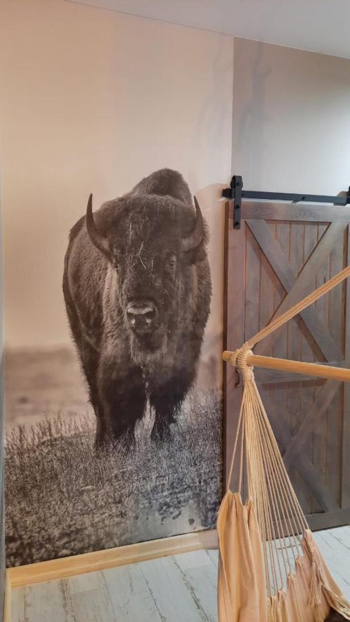 Zagroda W Puszczy Białowieża Exterior foto